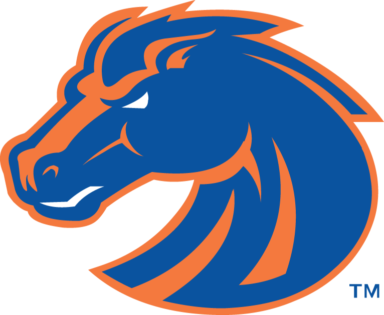 Boise State Broncos 2002-2012 Secondary Logo diy DTF decal sticker